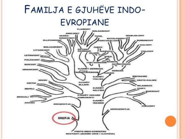 Historia e gjuhëve të botës dhe klasifikimi i tyre
